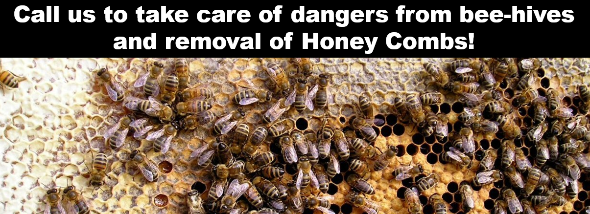 Bees banner